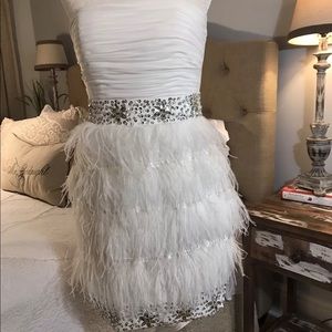 Prom or Evening Dress